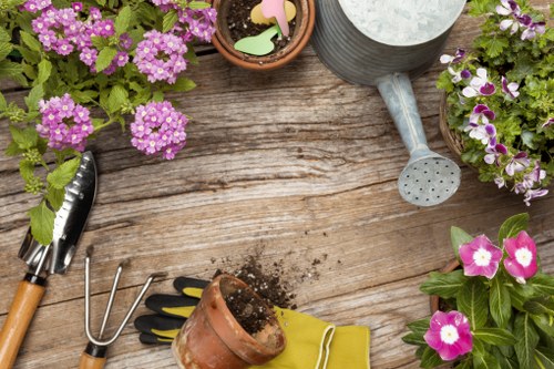 Professional planting services in a Croydon garden bed