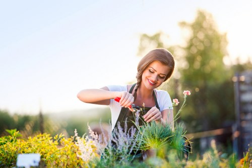 Landscapers Croydon team sorting green waste for eco-friendly disposal