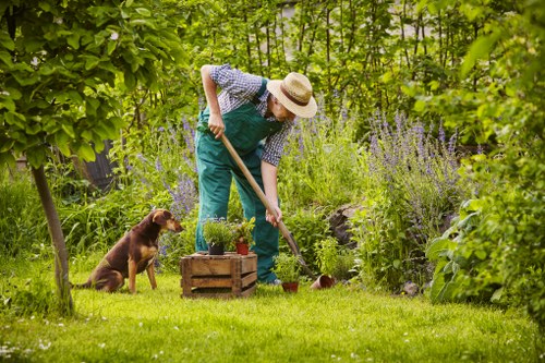 Inclusive landscaping service information for Croydon area users