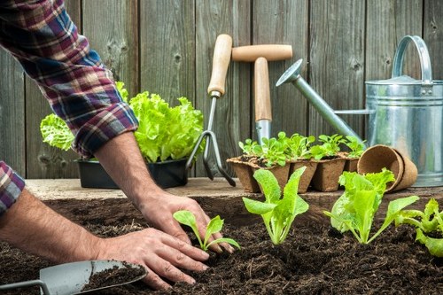 Garden waste collection pricing in Croydon for a small outdoor cleanup