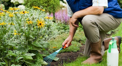 Commercial and residential landscaping work in Croydon