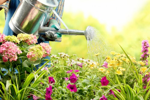 Modern garden design by landscape gardeners in Croydon