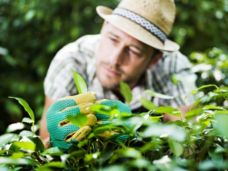 Croydon property landscaping with planting and hard landscaping