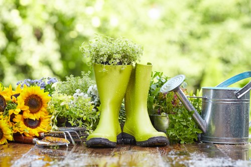 Professional hedge cutting tools used for garden maintenance