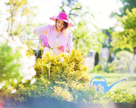 Professional garden maintenance in Croydon for a healthy, attractive garden