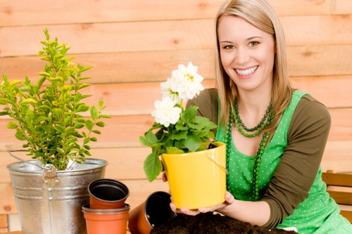 Seasonal garden waste and debris removal in Croydon