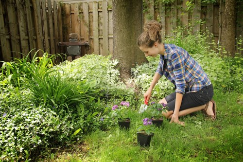 Professional team removing garden waste in Croydon