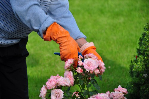 Cookie policy and privacy preferences for Landscapers Croydon