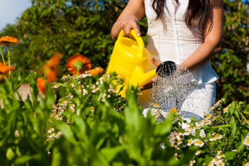 Planning a shed installation in Croydon with site preparation