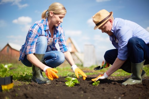 Wildlife-friendly planting scheme in Croydon